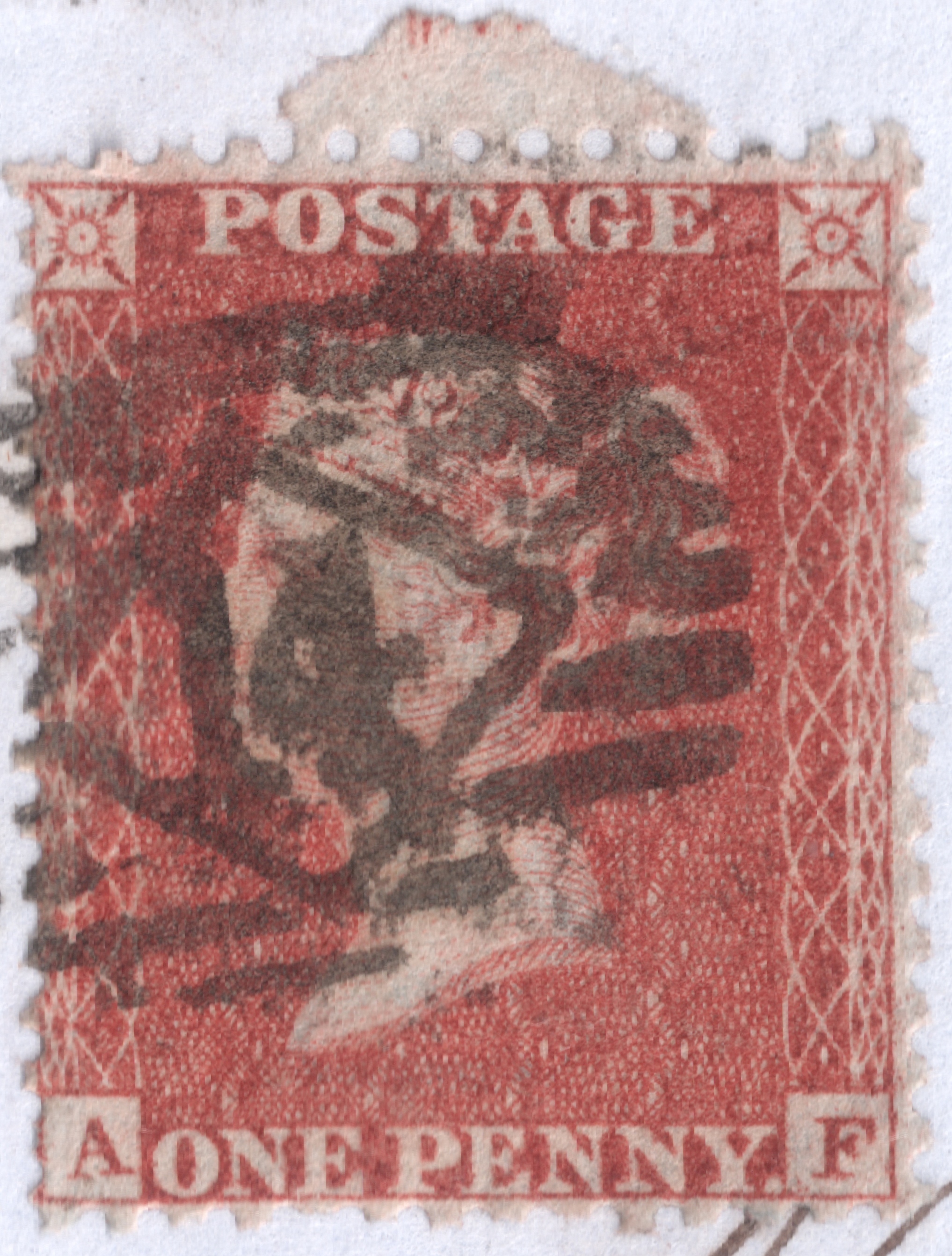 Plate 15 A-F