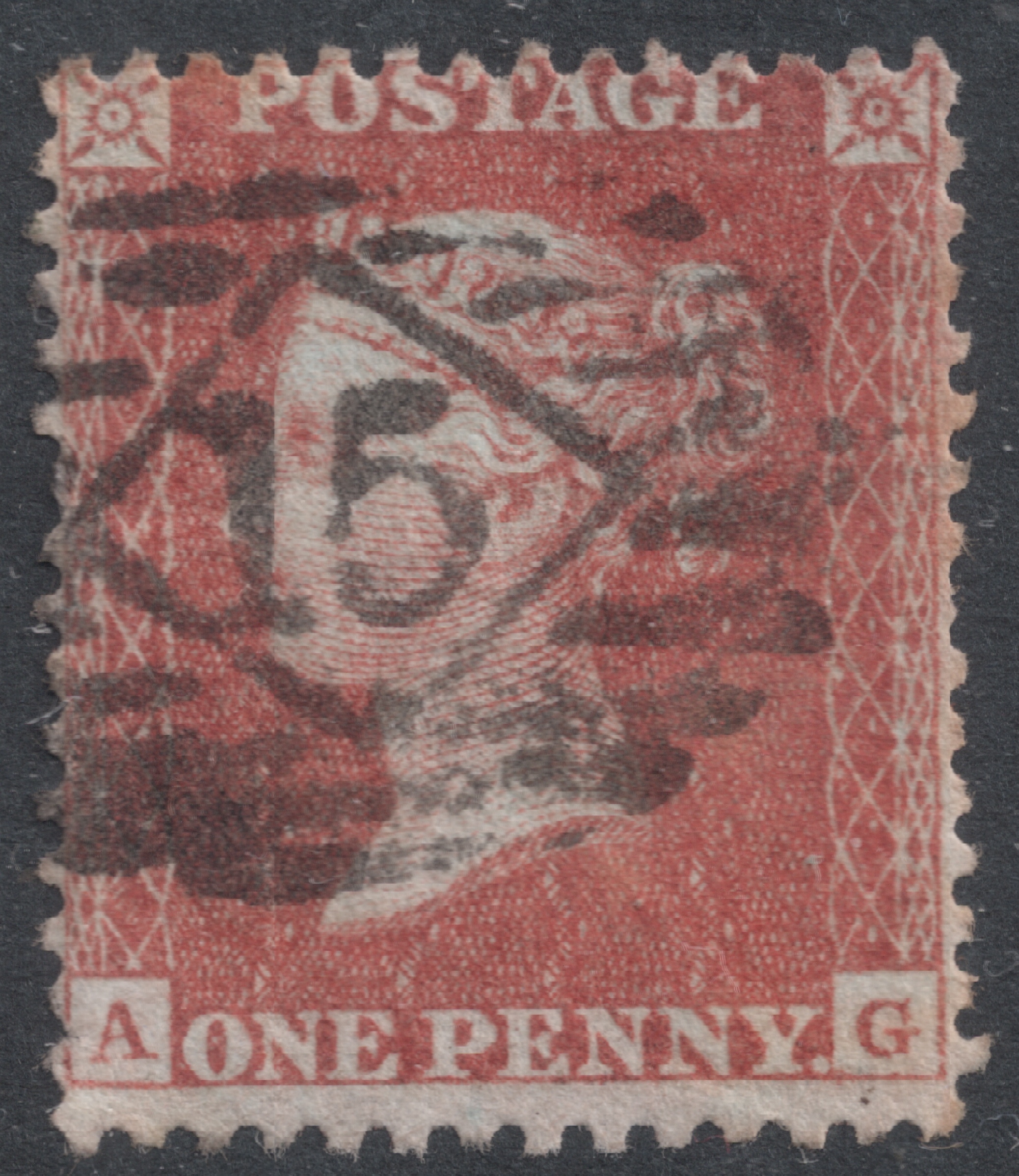 Plate 15 A-G
