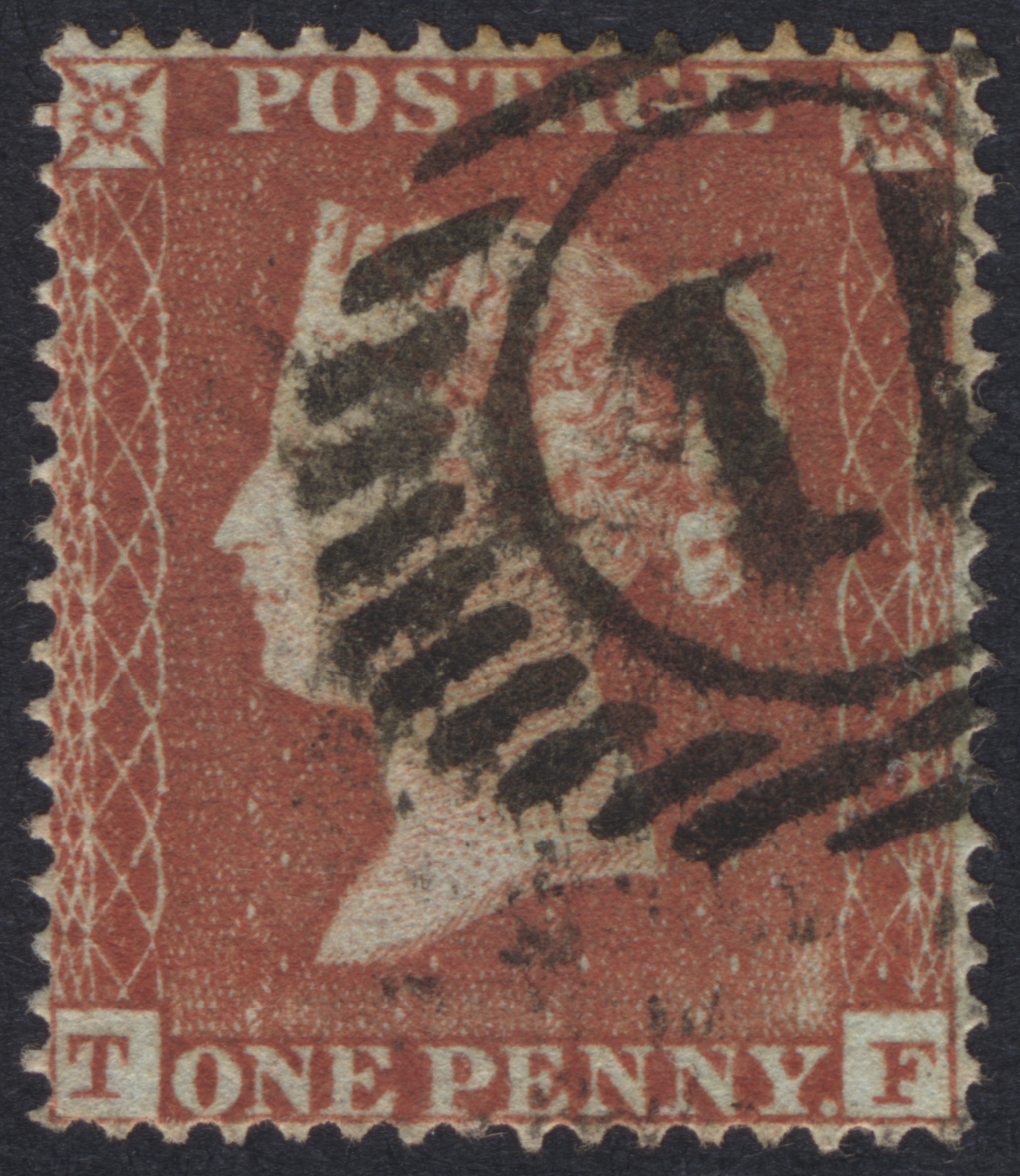 Plate 170 T-F
