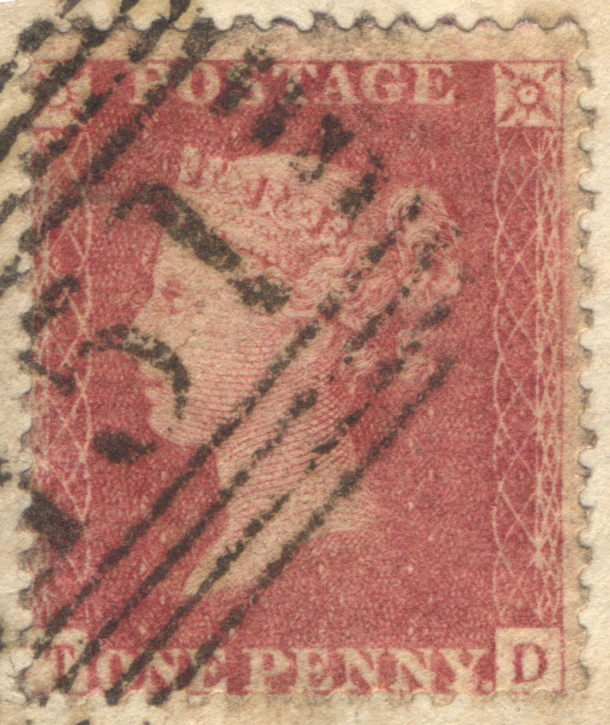 Plate 49 T-D