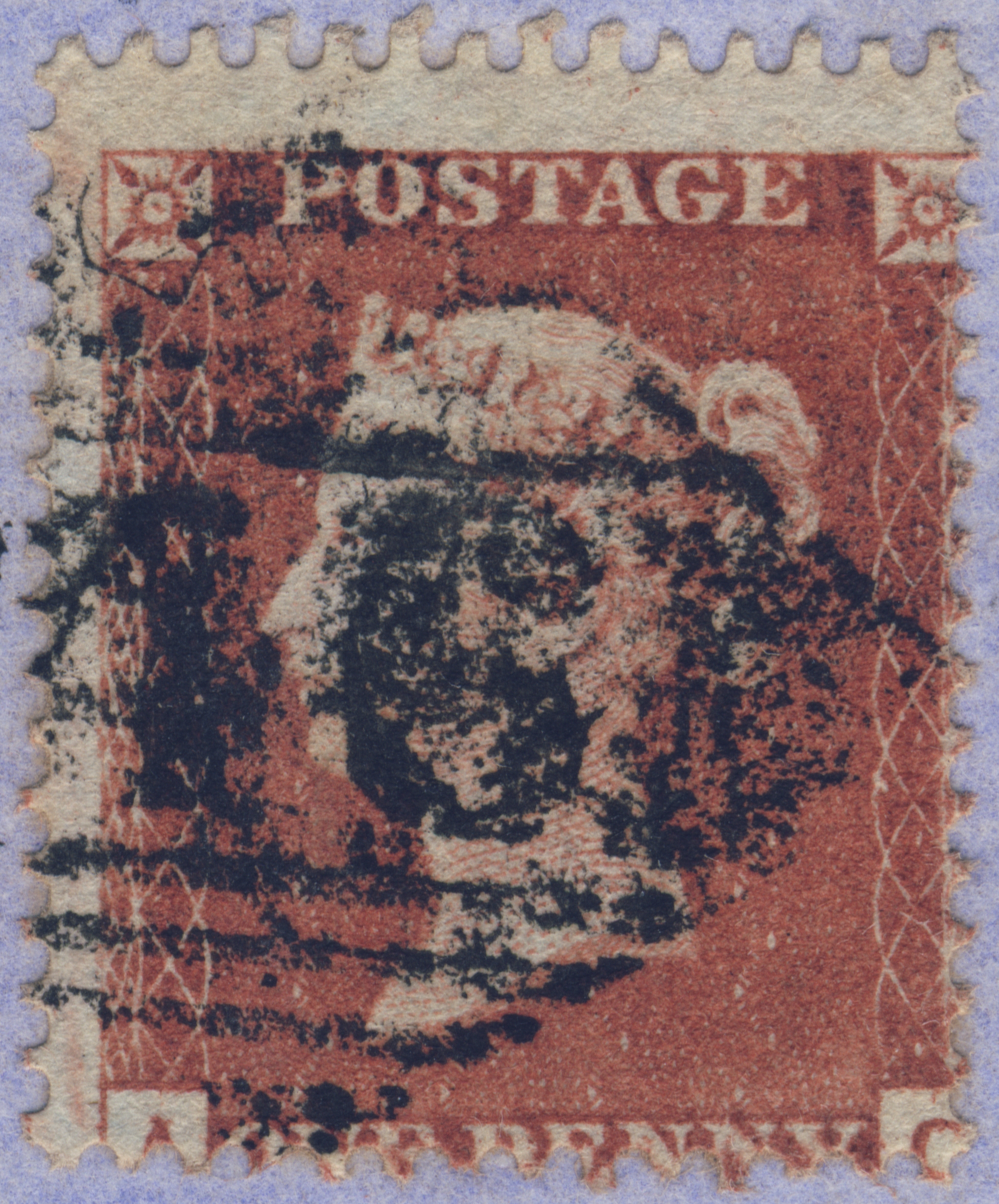 Plate 203 A-C