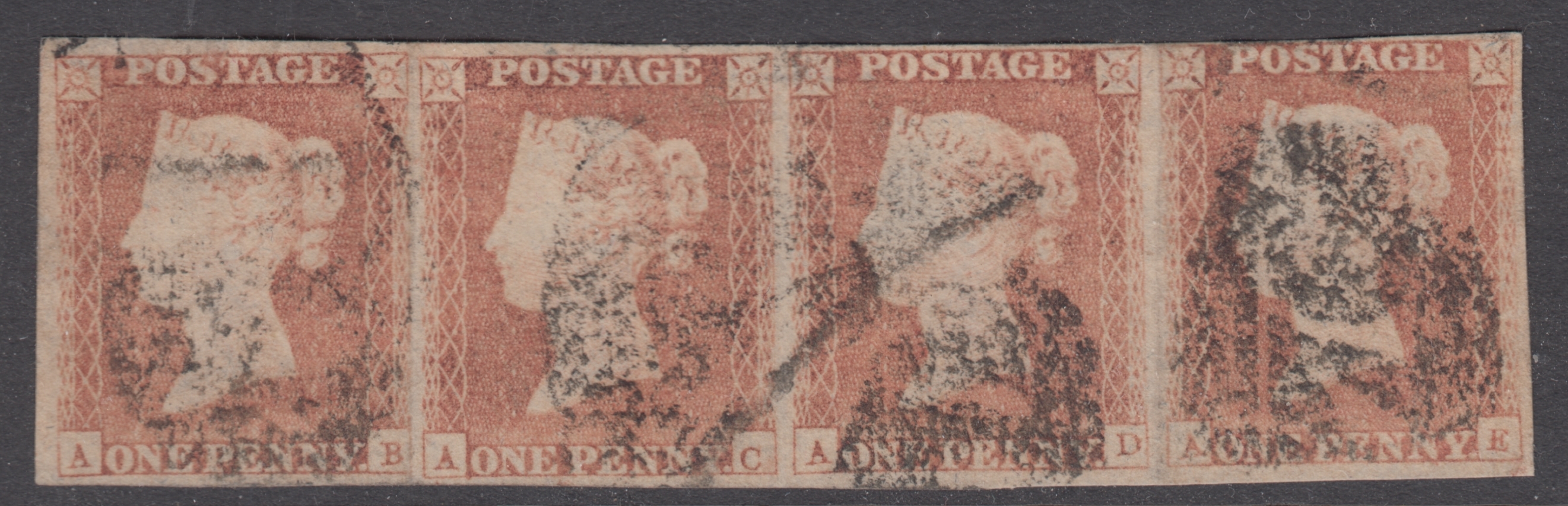Plate 91 A-B, A-C, A-D, A-E