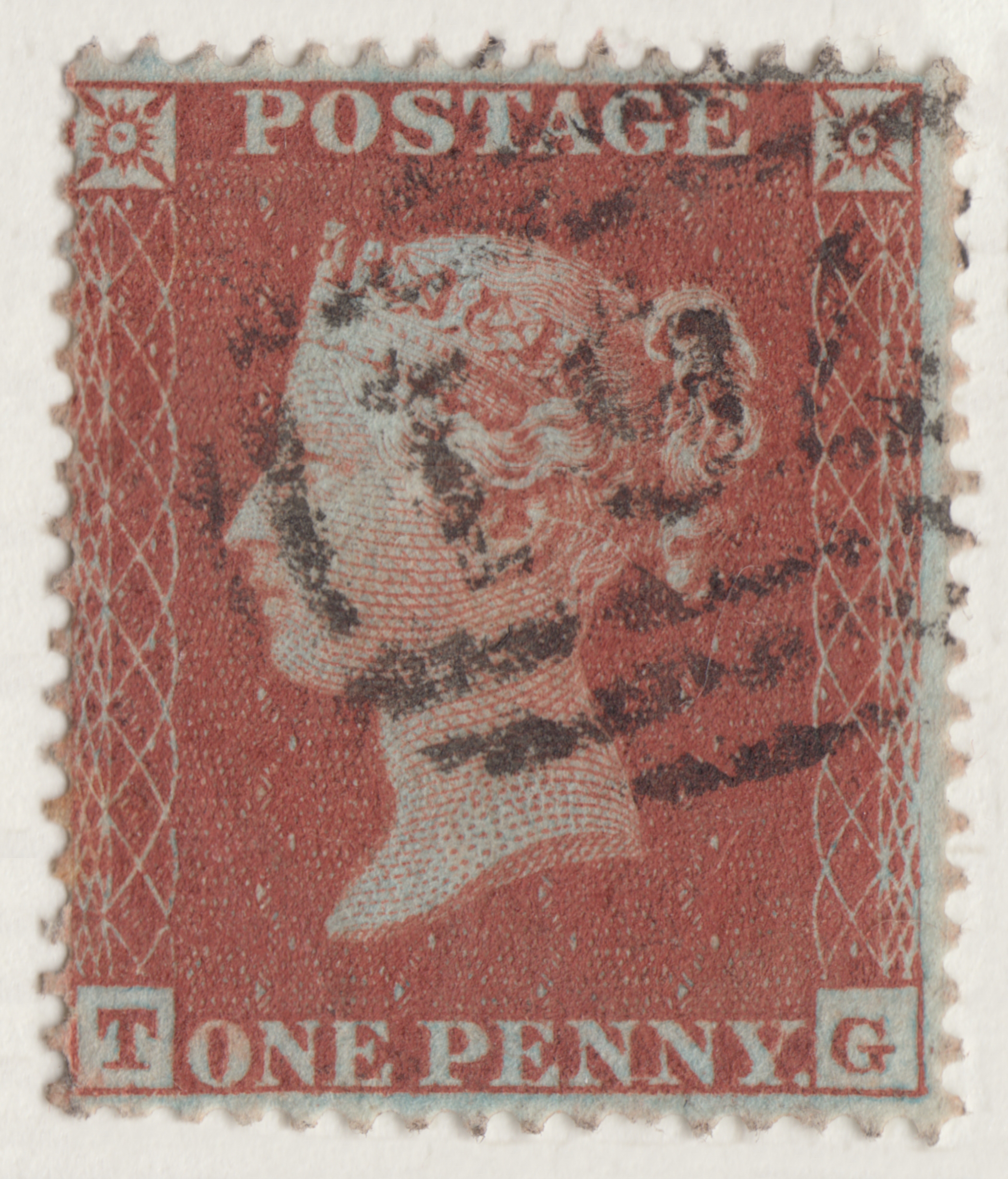 Plate 193 T-G