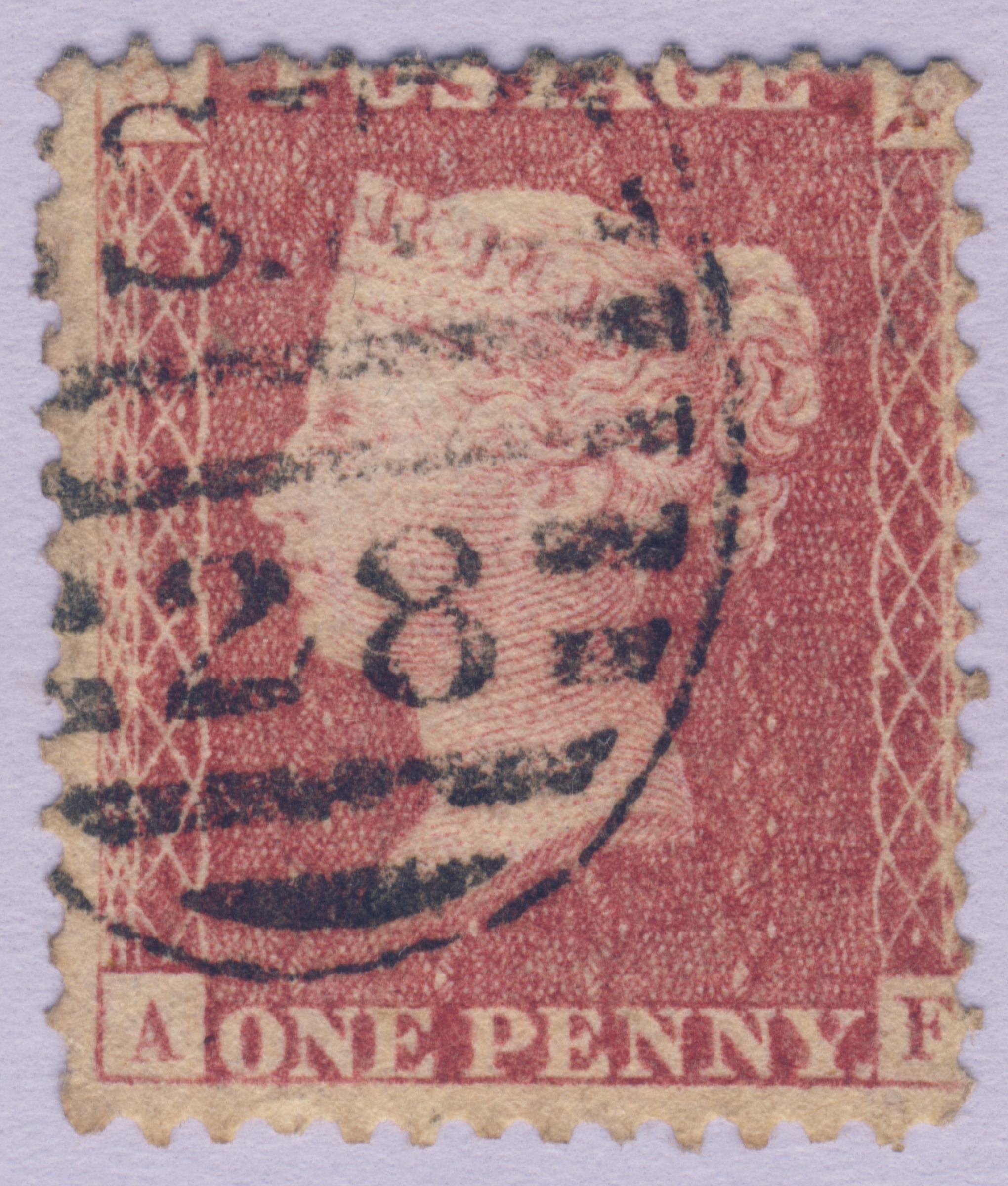 Plate 46 A-F