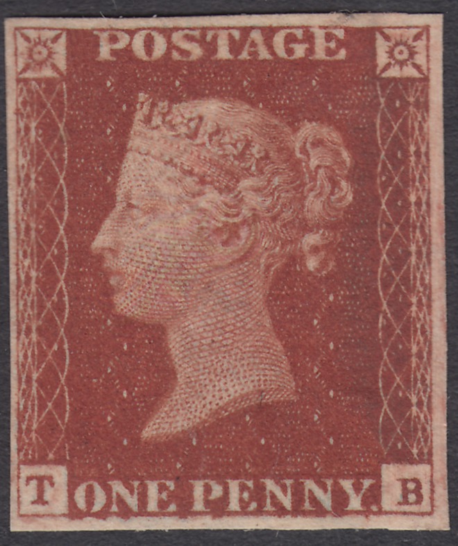 Plate 55 T-B