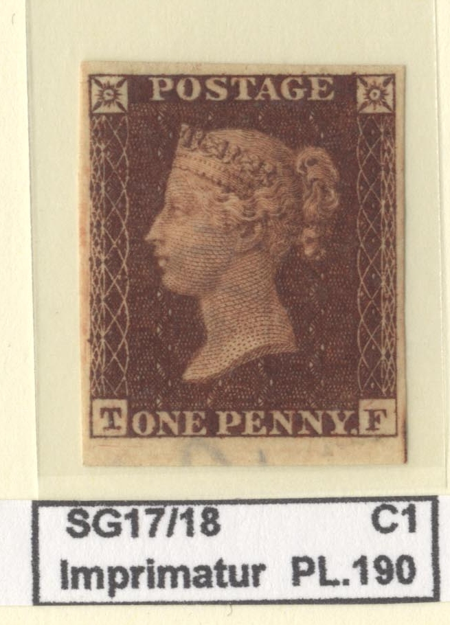 Plate 190 T-F