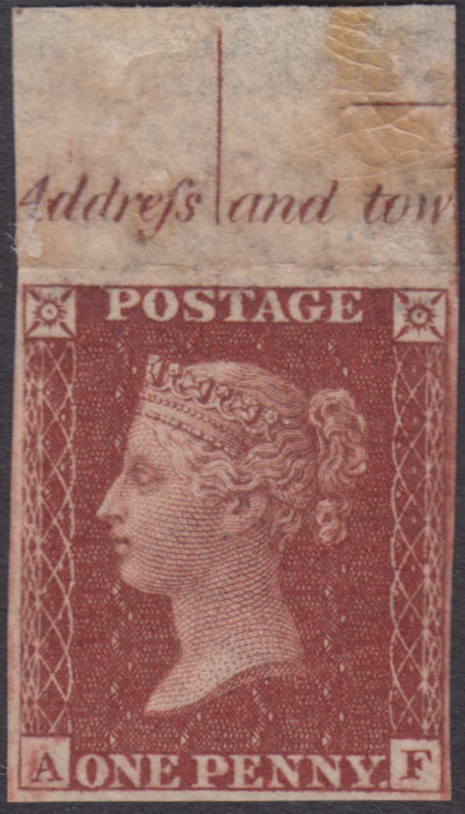 Plate 6 A-F