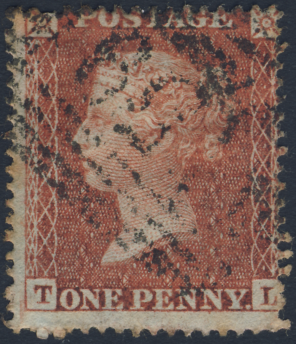 Plate 7 T-L