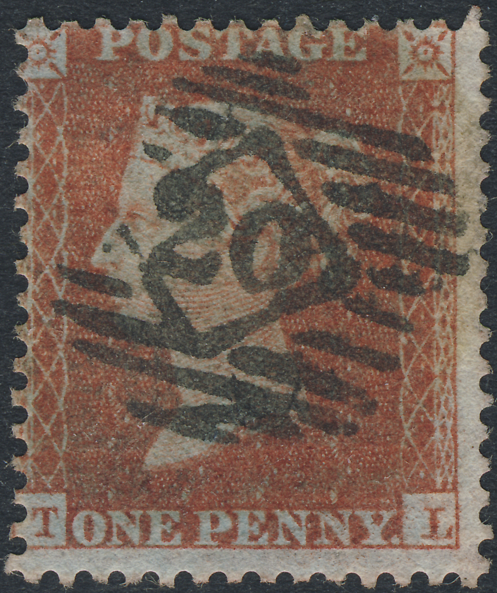 Plate 24 T-L