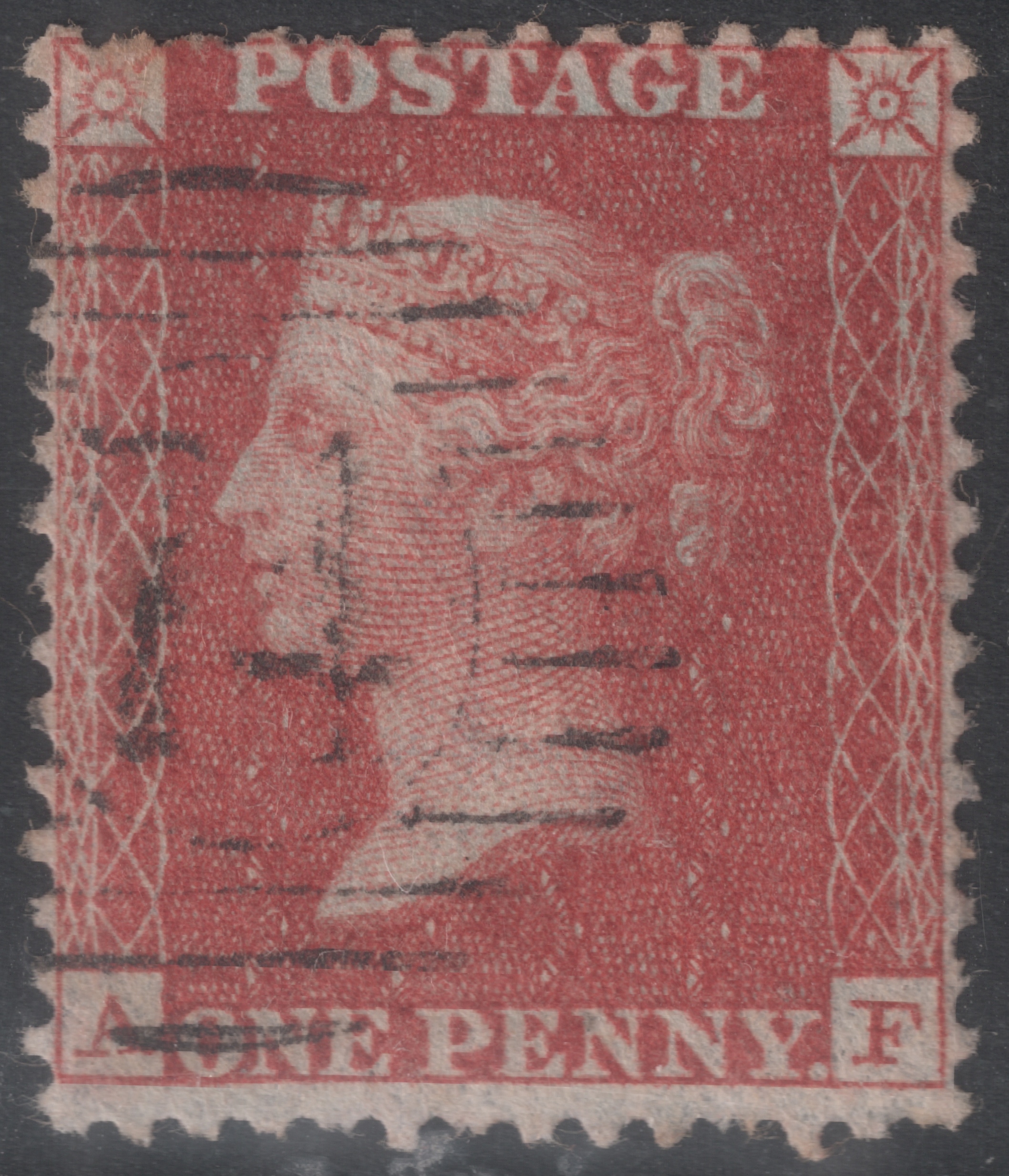 Plate 14 A-F