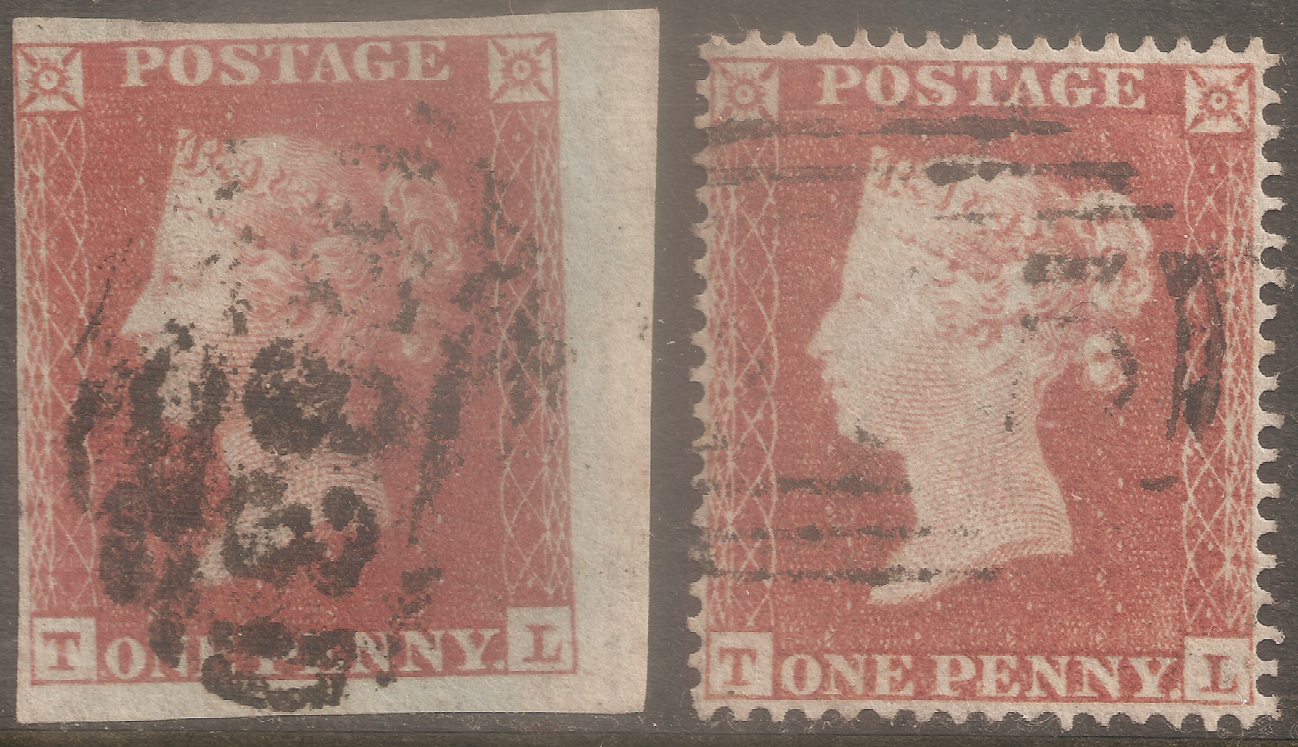 Plate 171 T-L