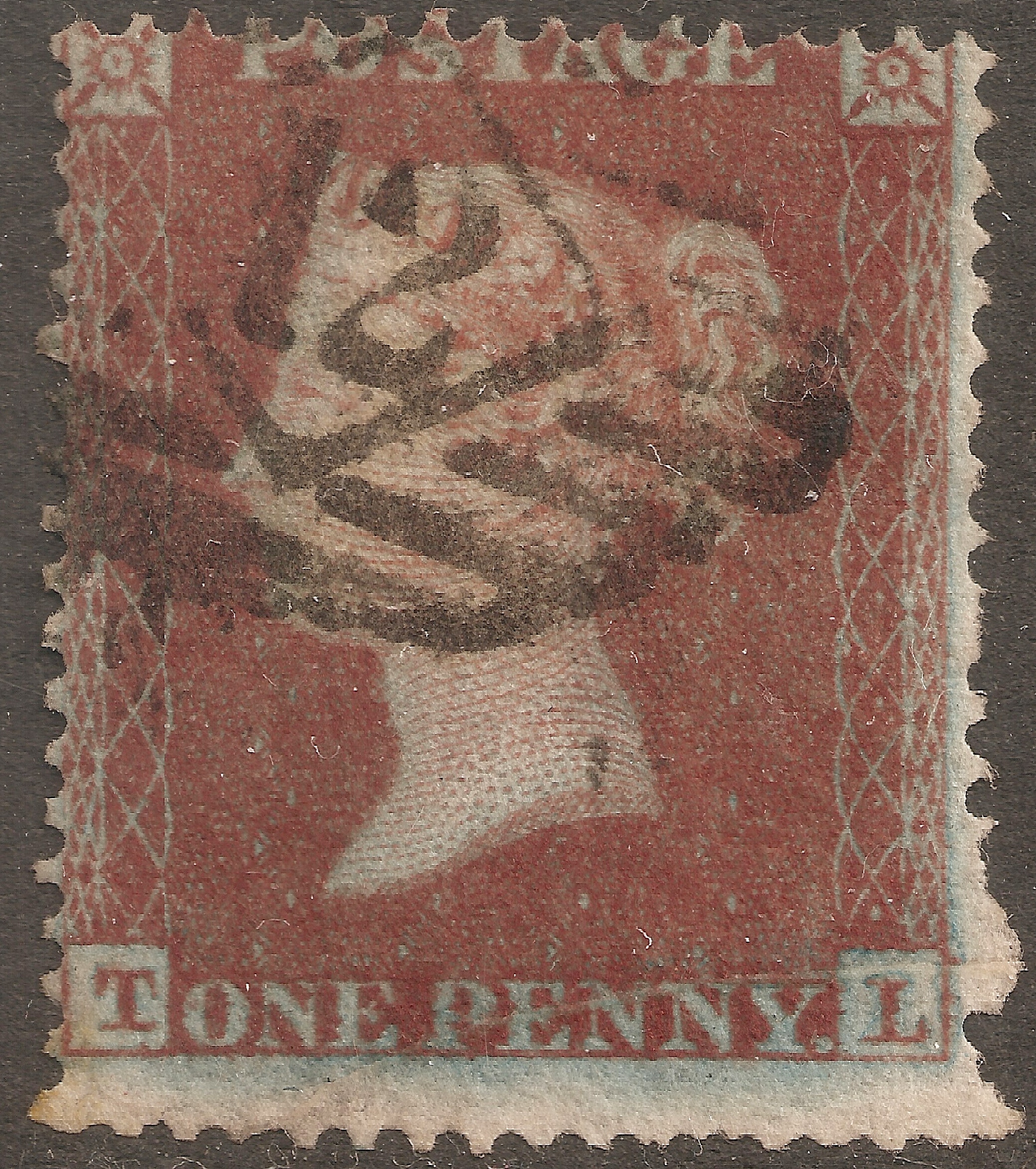 Plate 180 T-L