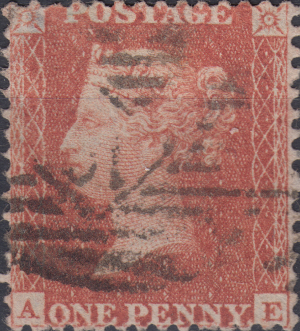 Plate 7 A-E