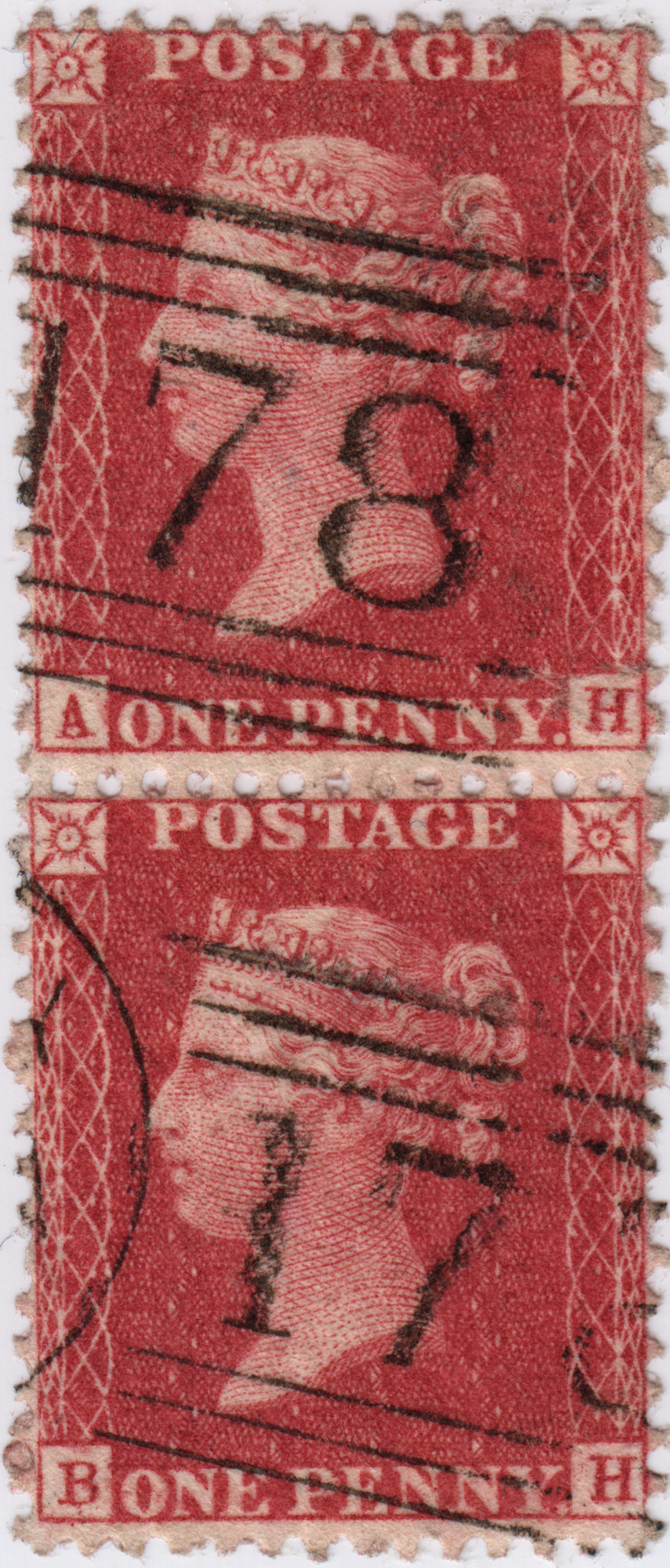 Plate 36 A-H