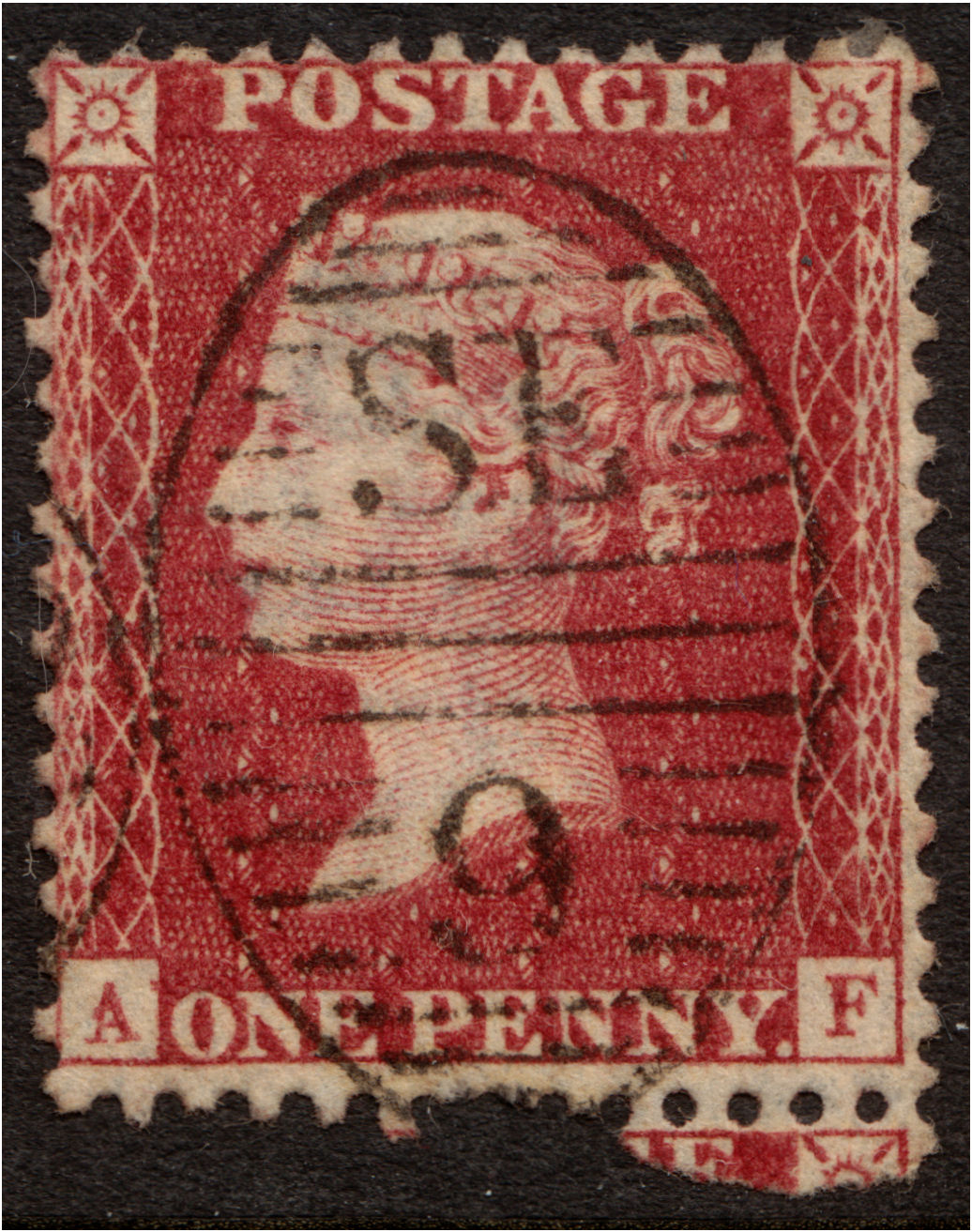 Plate 38 A-F