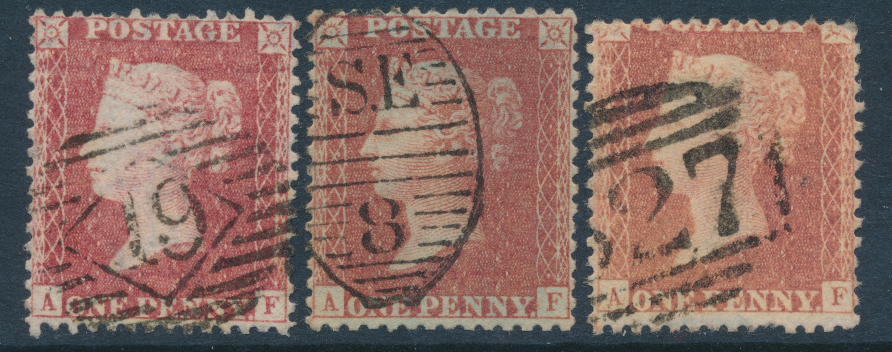 Plate 38 A-F