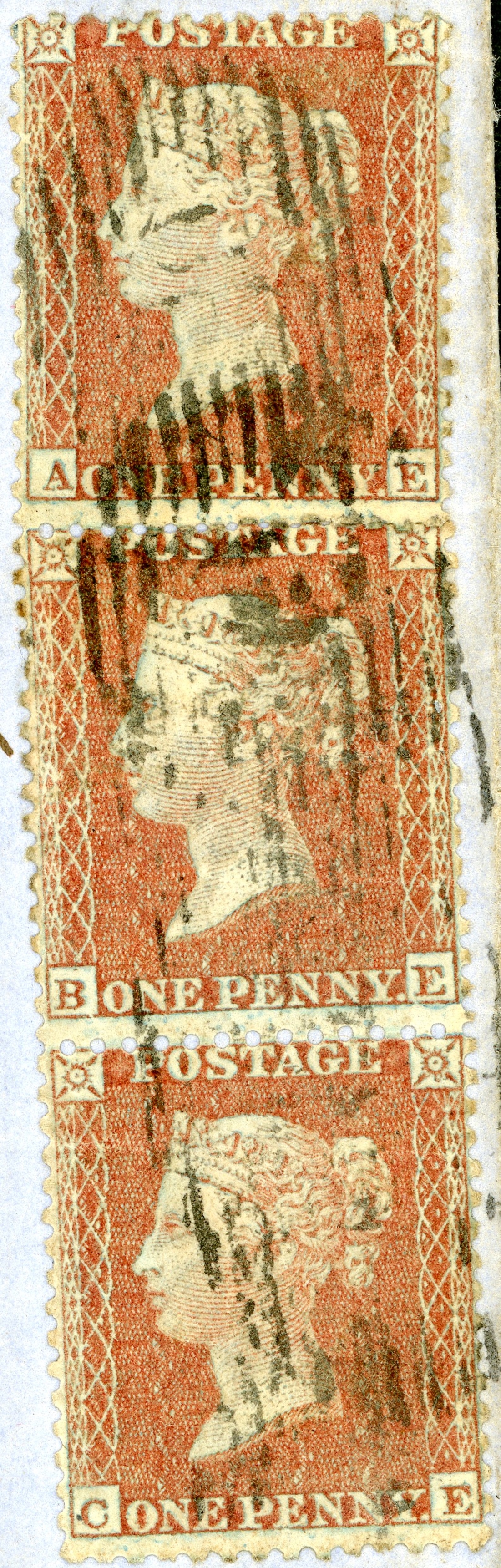 Plate 4 A-E