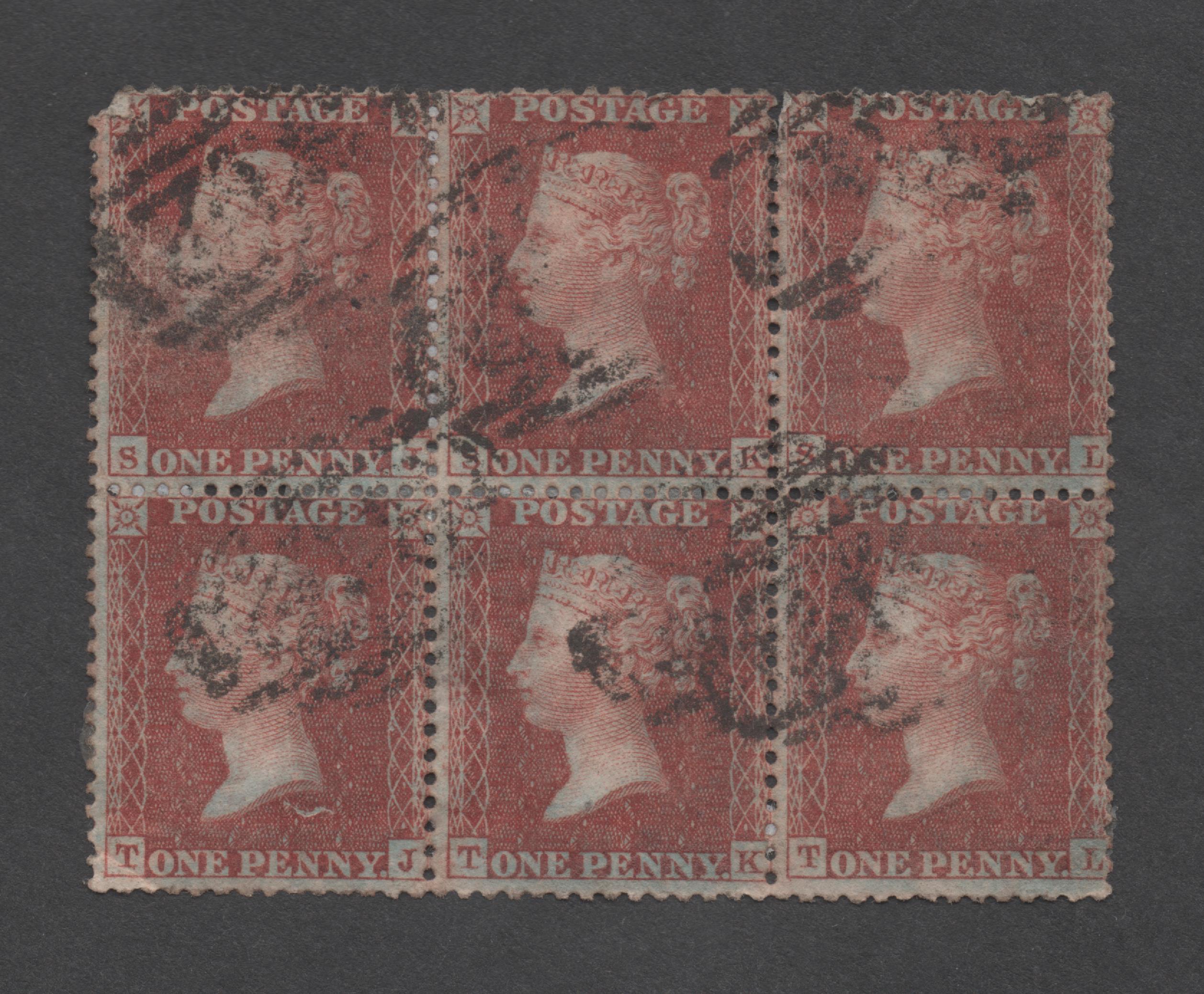 Plate 17 T-L