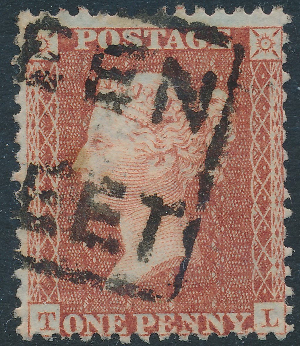 Plate 6 T-L
