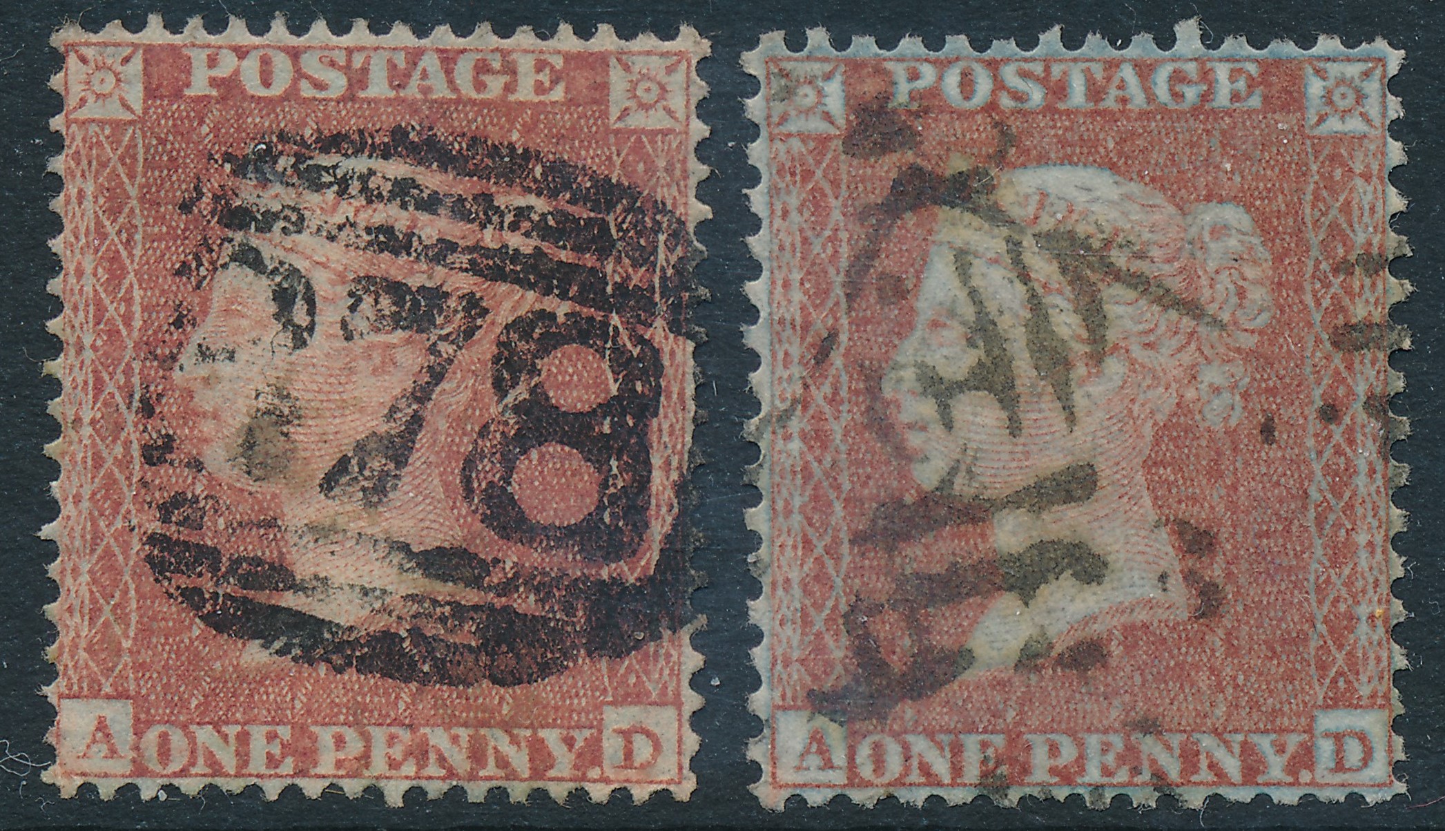 Plate 10 A-D
