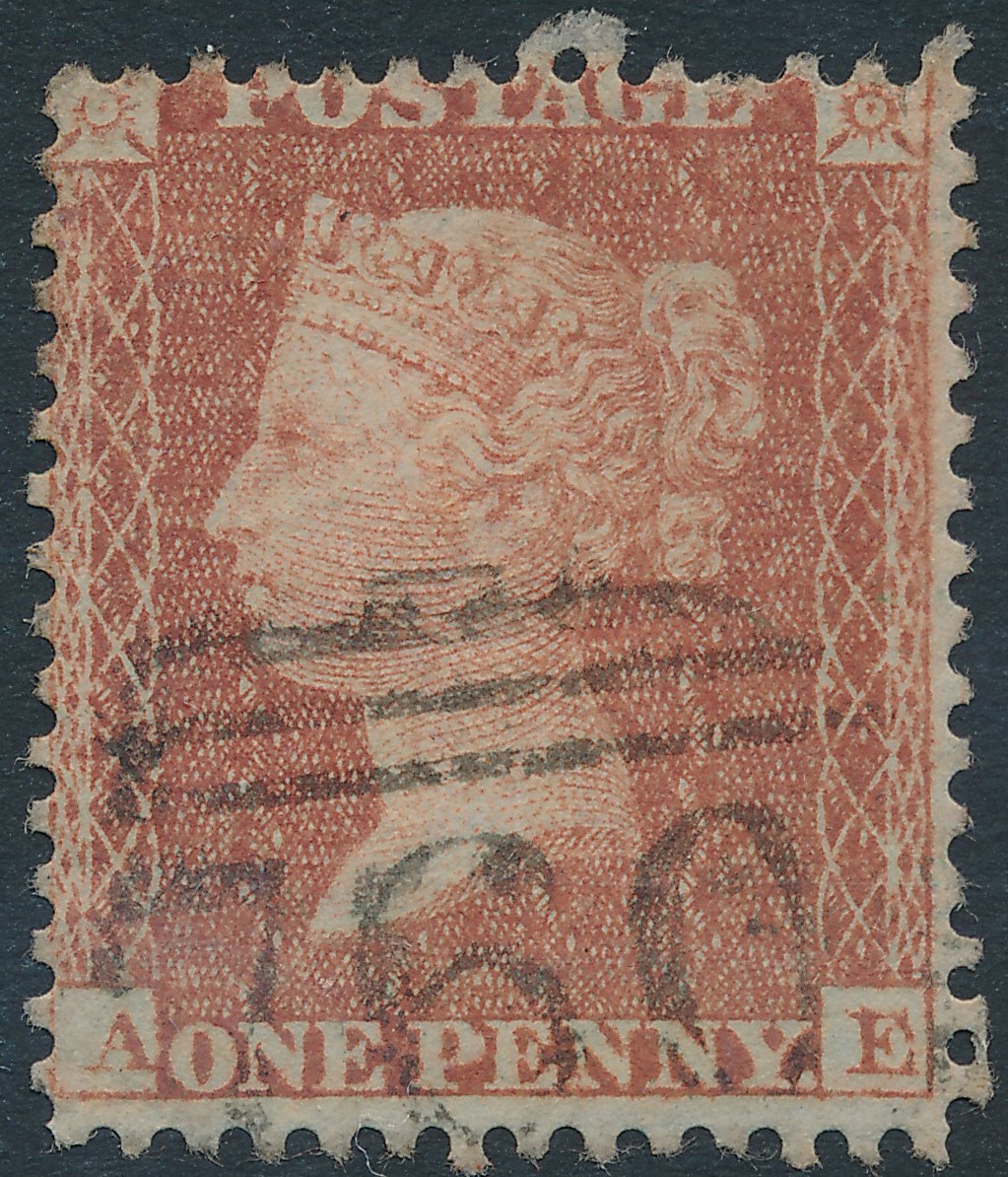 Plate 13 A-E
