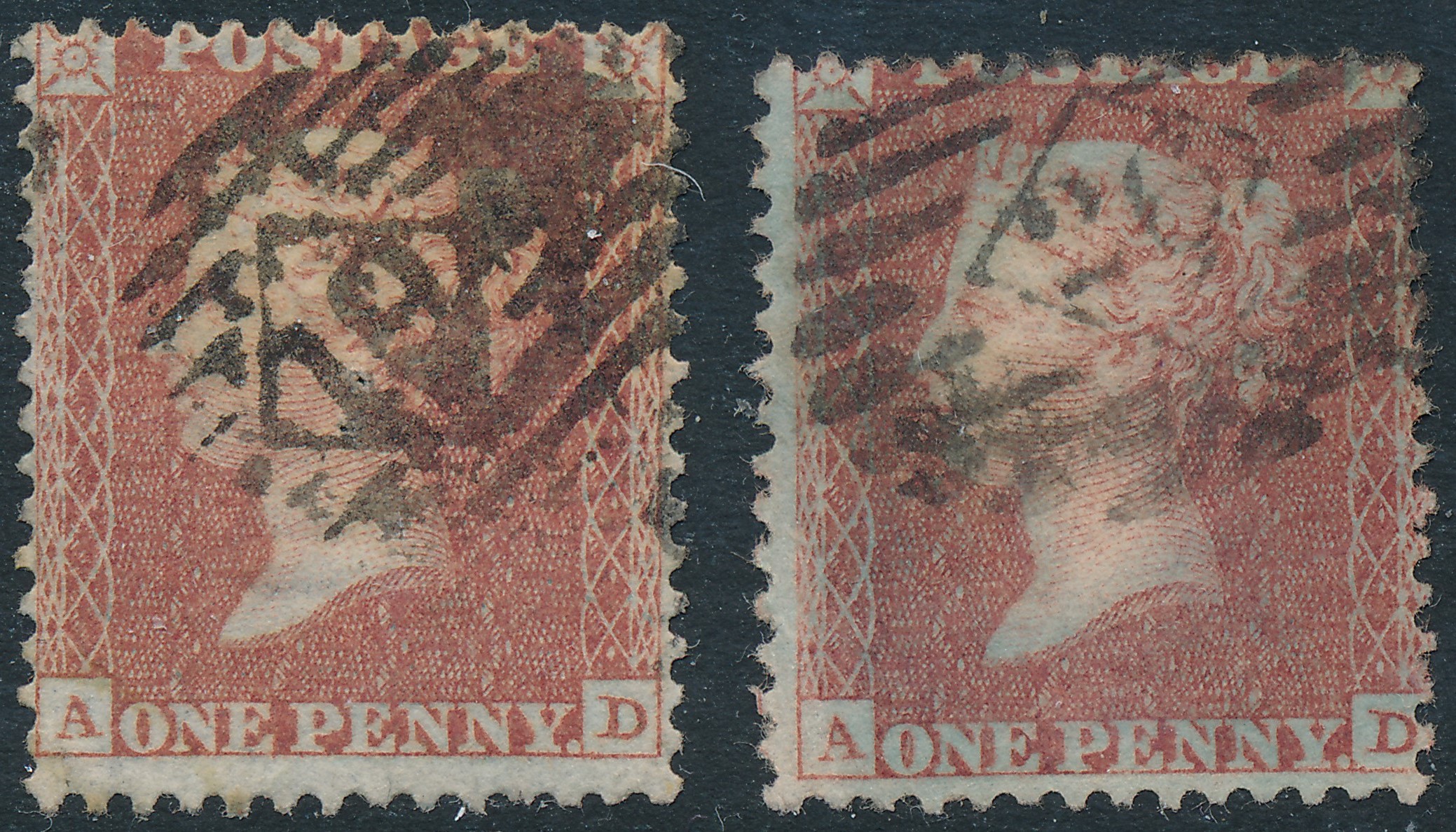 Plate 16 A-D