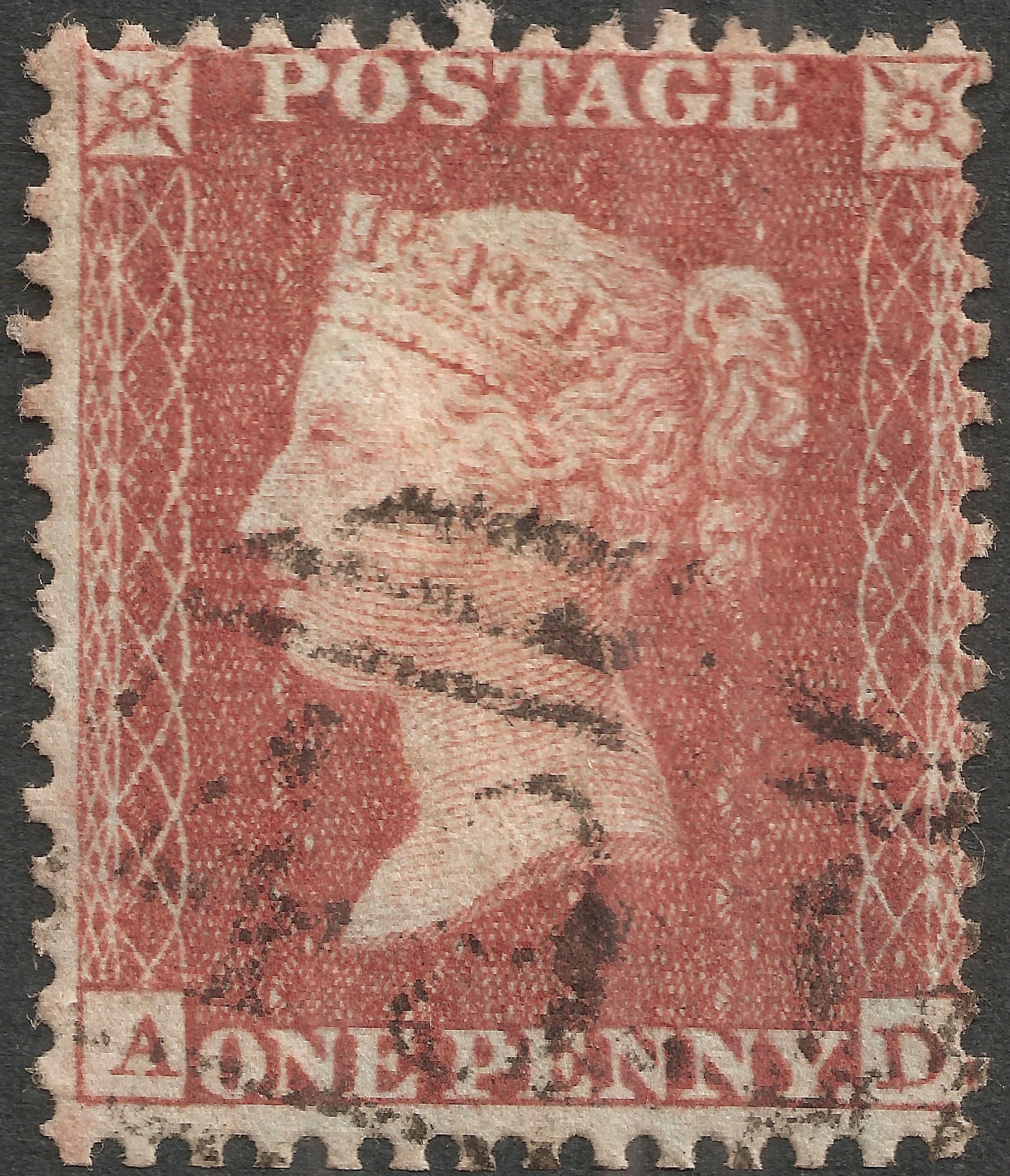 Plate 18 A-D