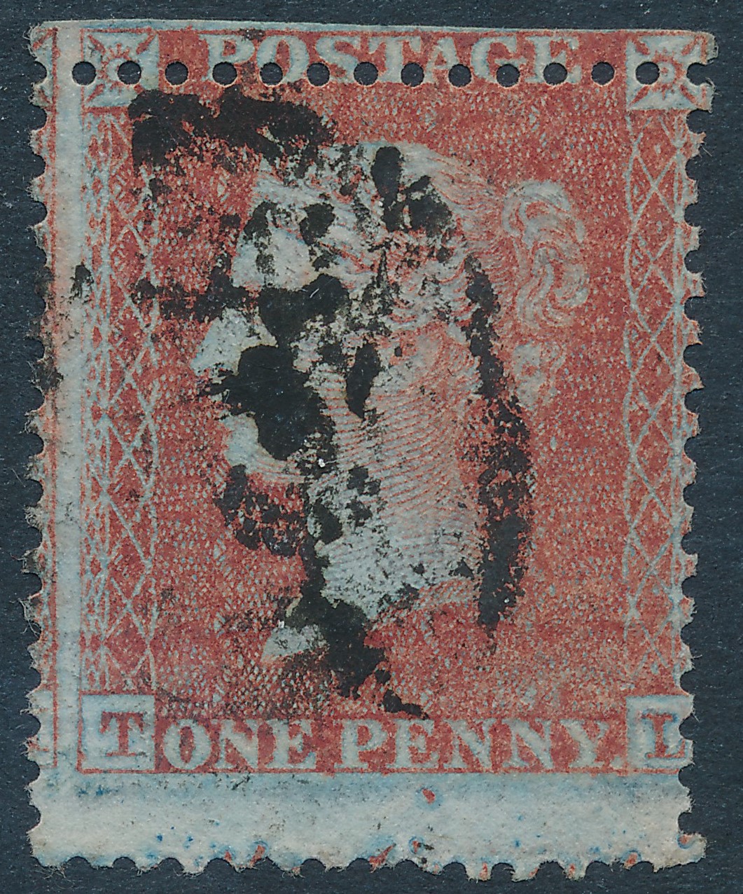 Plate 20 T-L