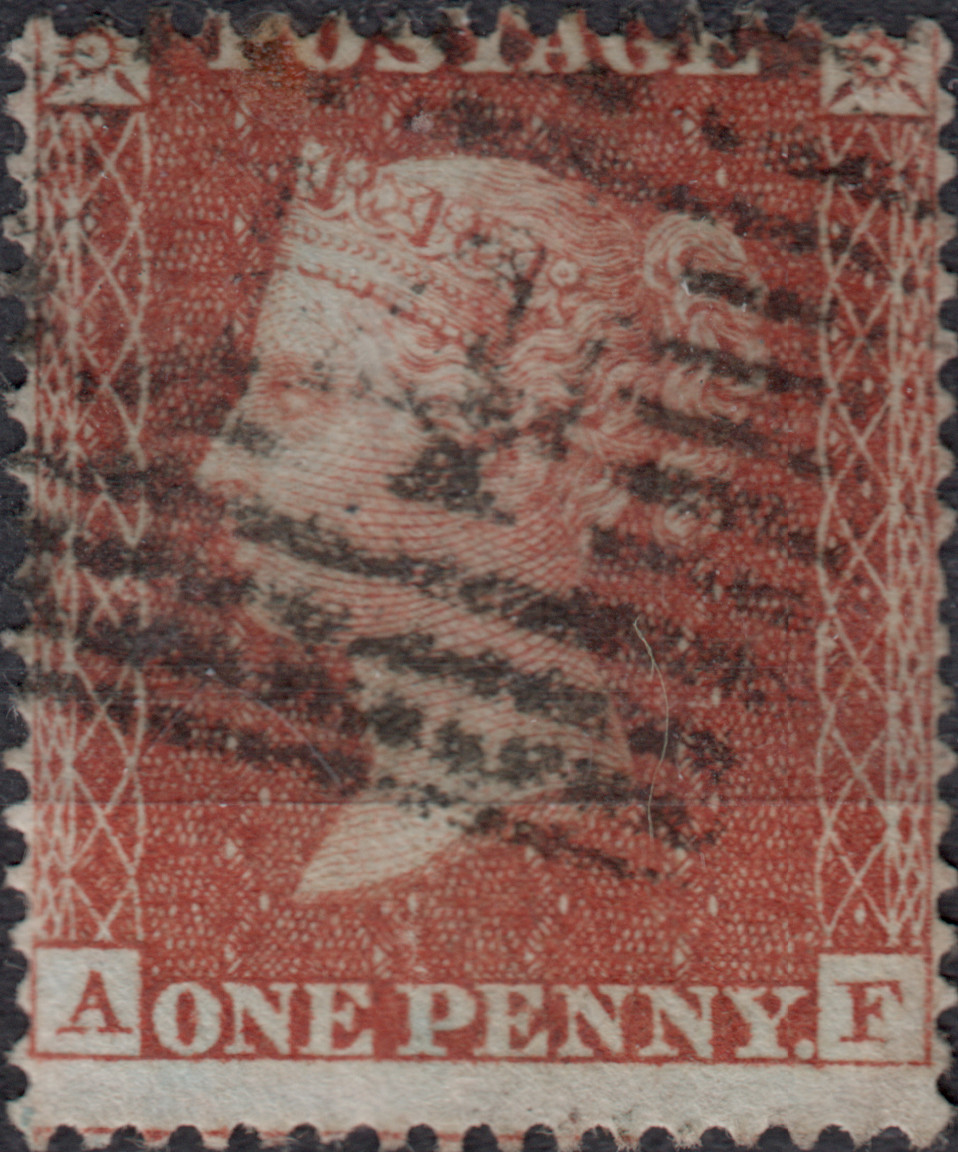 Plate 7 A-F