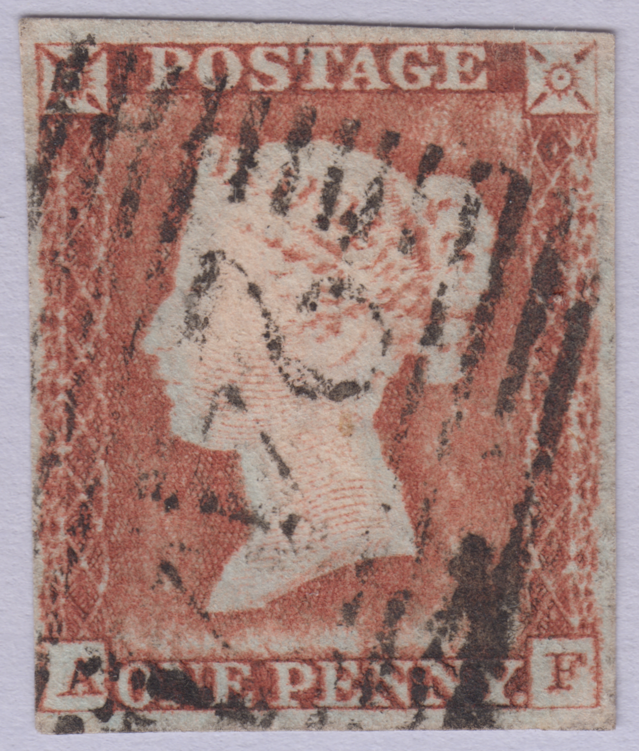 Plate 41 A-F