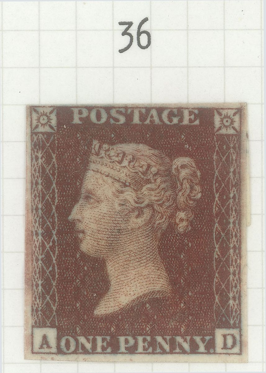 Plate 36 A-D