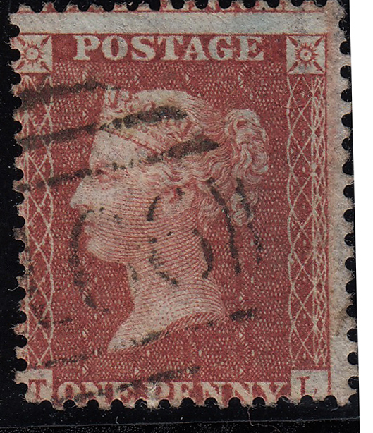 Plate 23 T-L