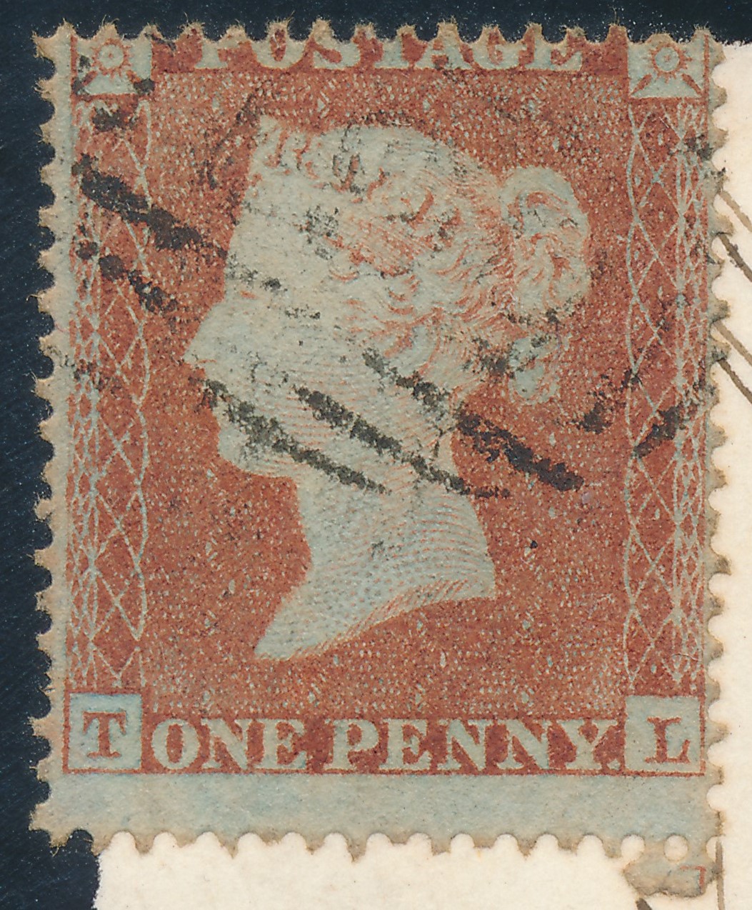 Plate 188 T-L