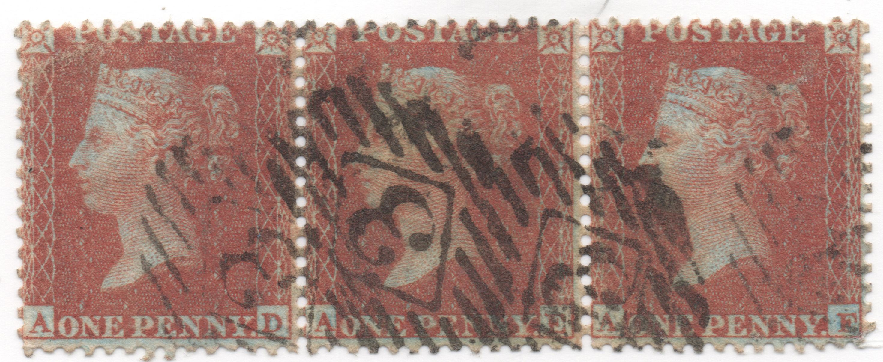 Plate 4 A-D, A-E