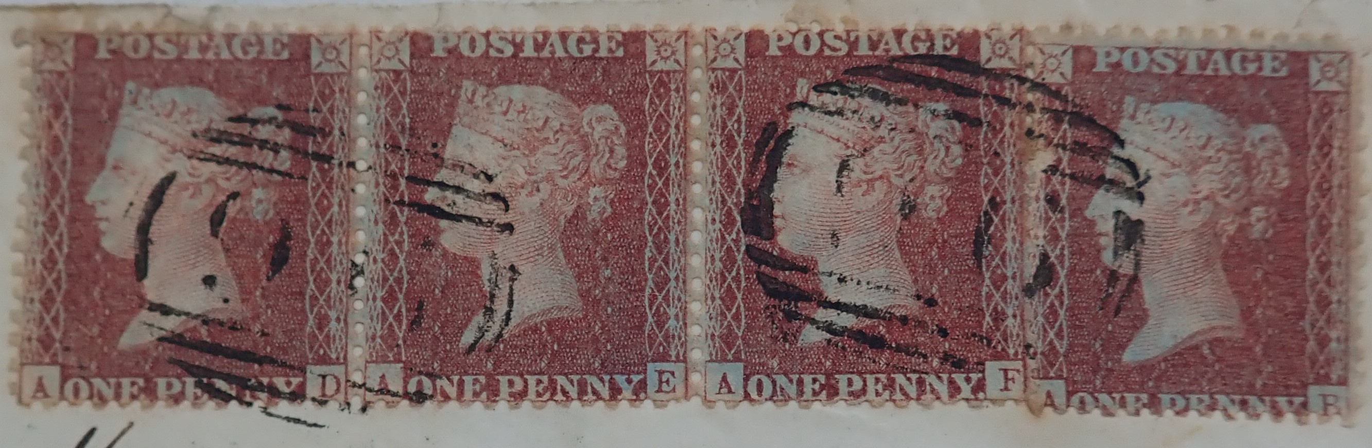 Plate 24 A-D, A-E, A-F, A-B