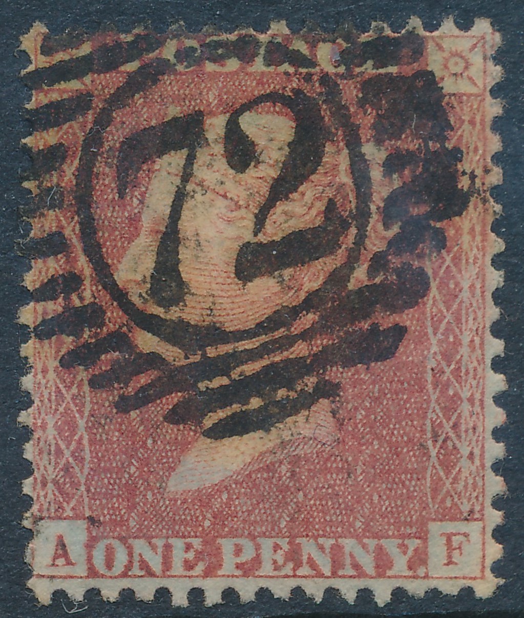 Plate 23 A-F