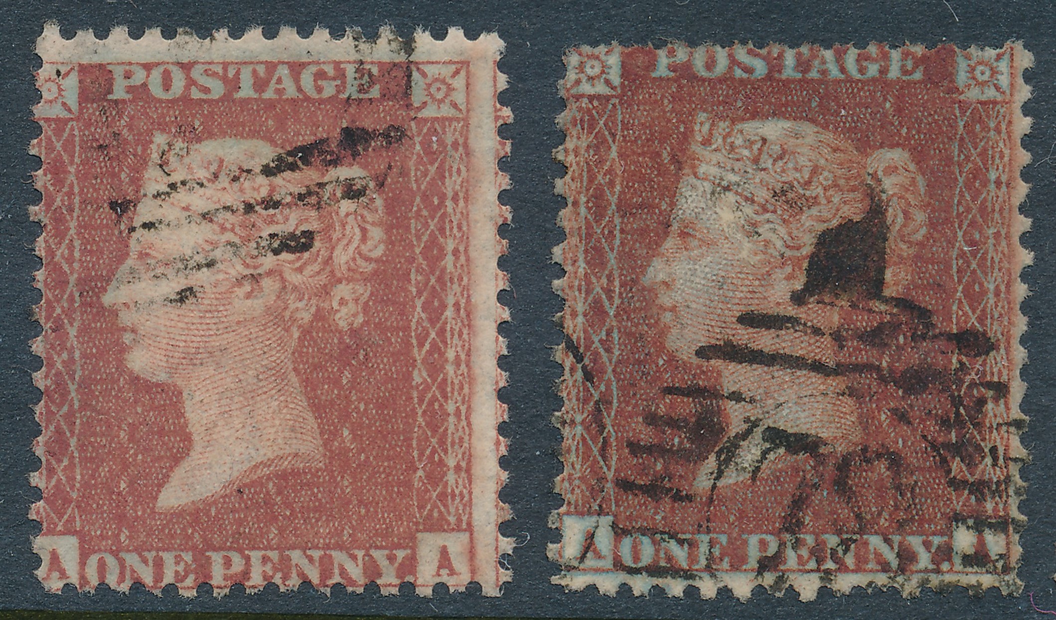 Plate 25 A-A