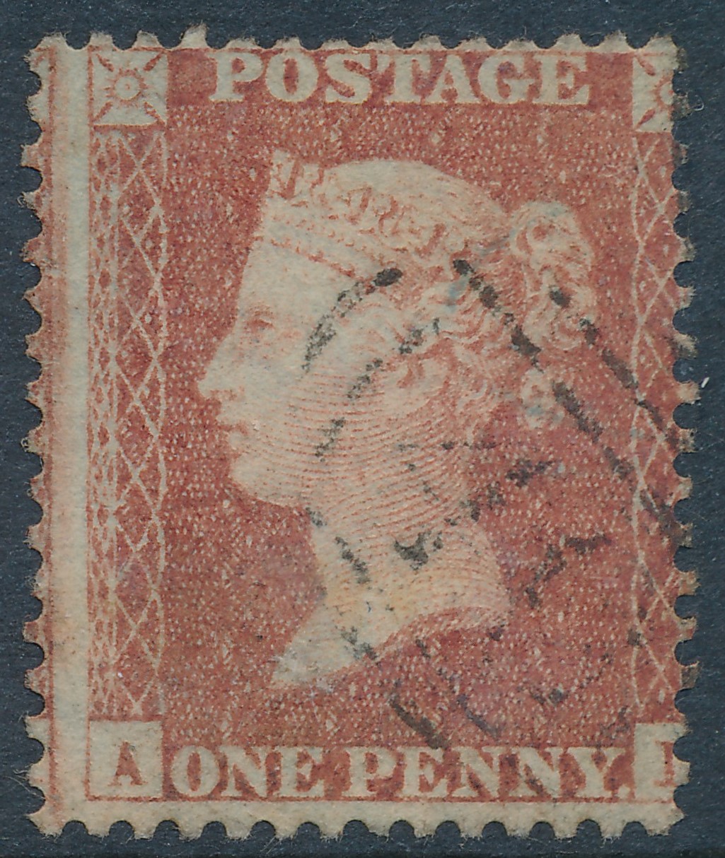 Plate 25 A-L
