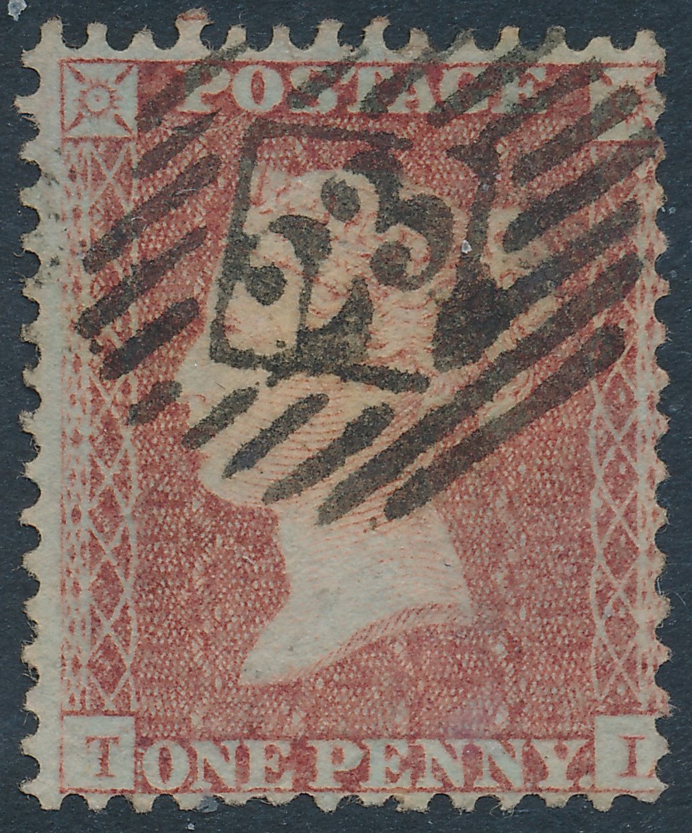 Plate 25 T-L