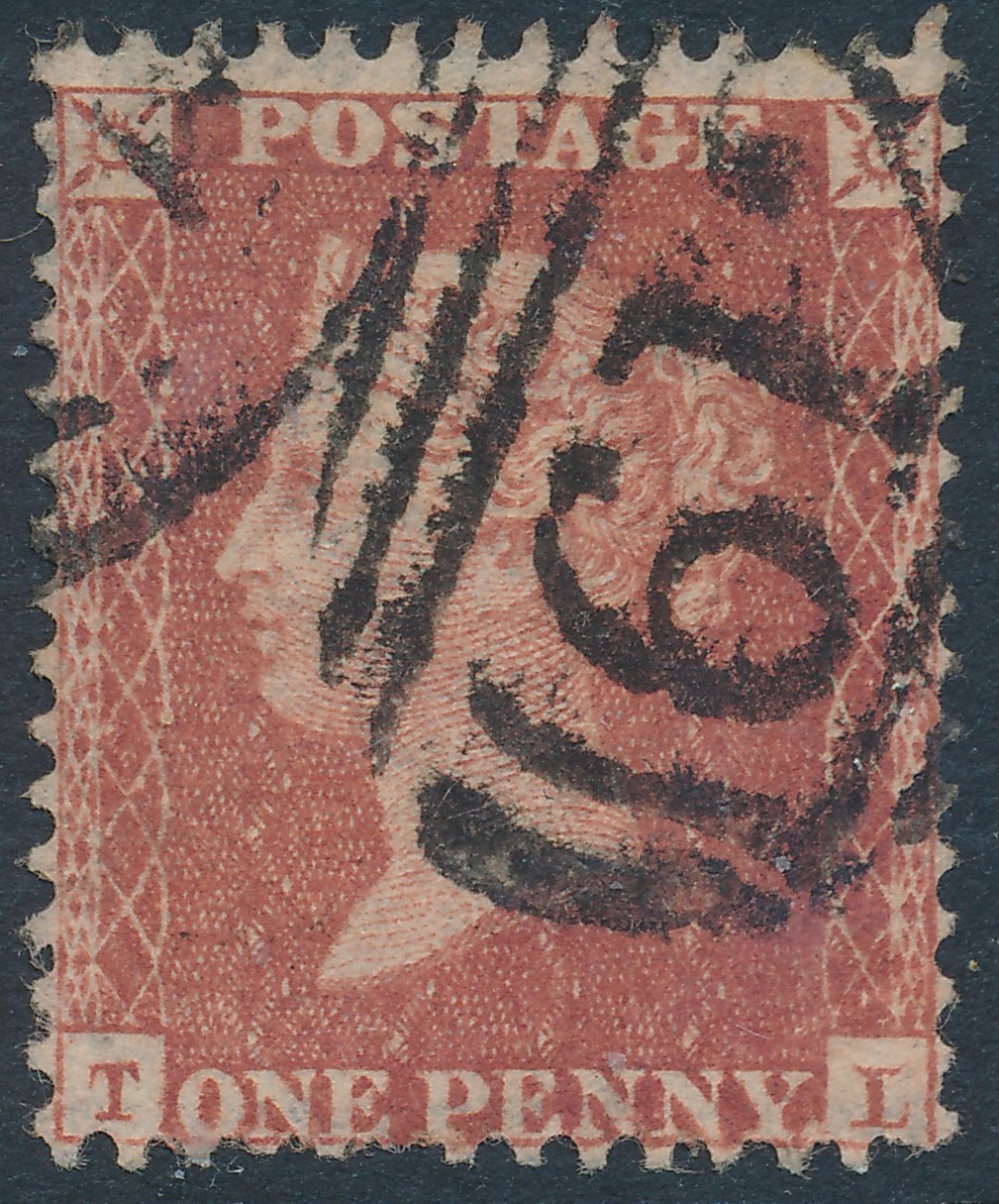 Plate 29 T-L