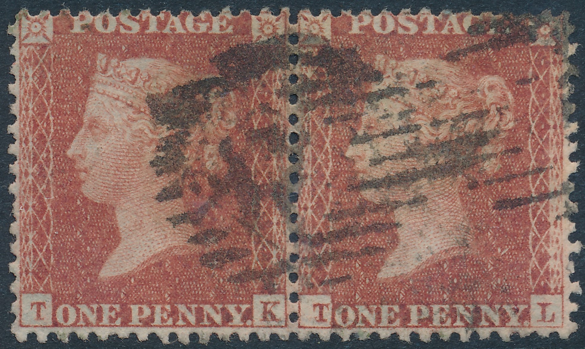 Plate 31 T-L