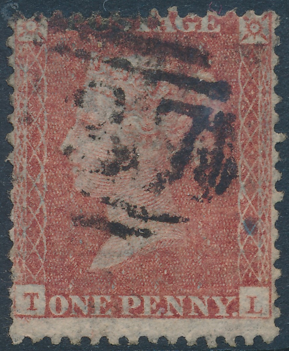 Plate 33 T-L