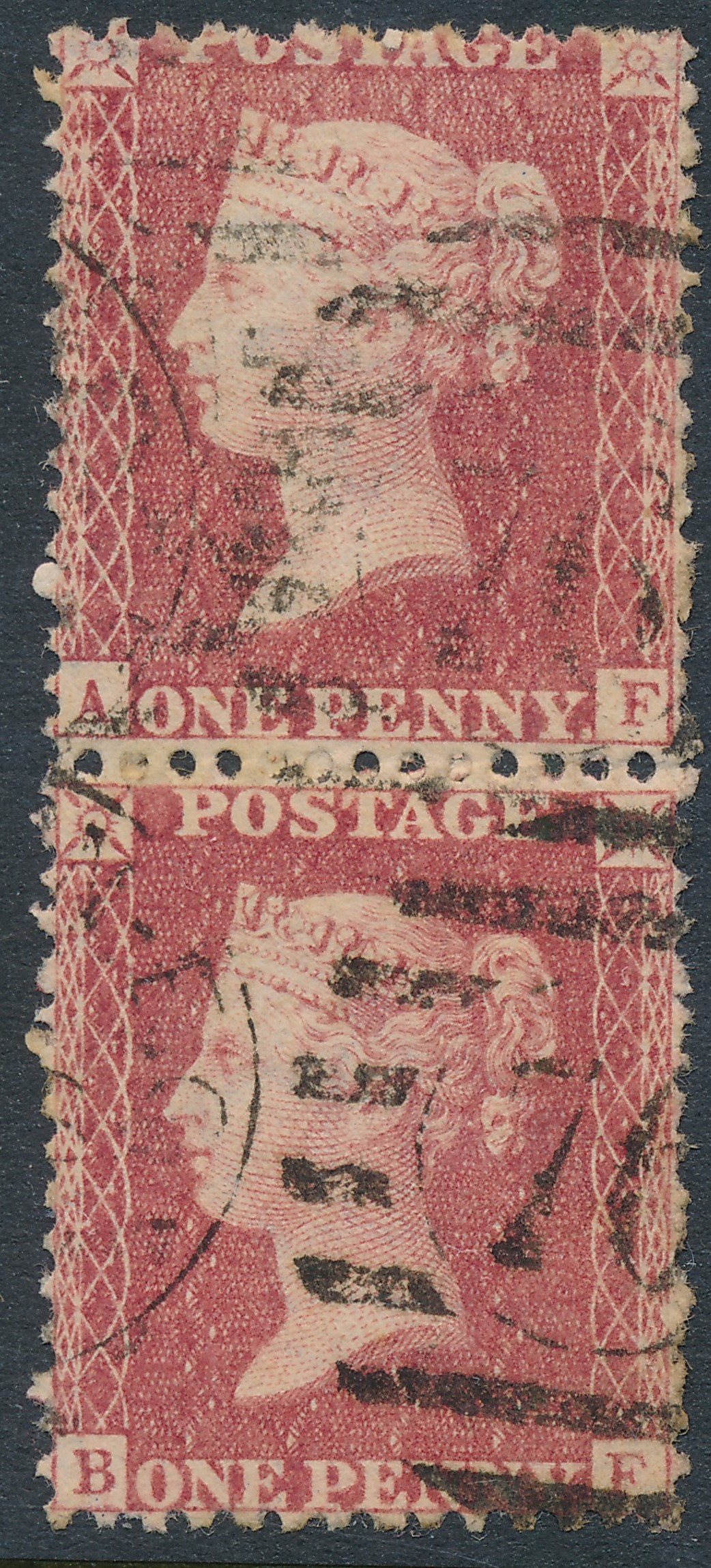 Plate 39 A-F