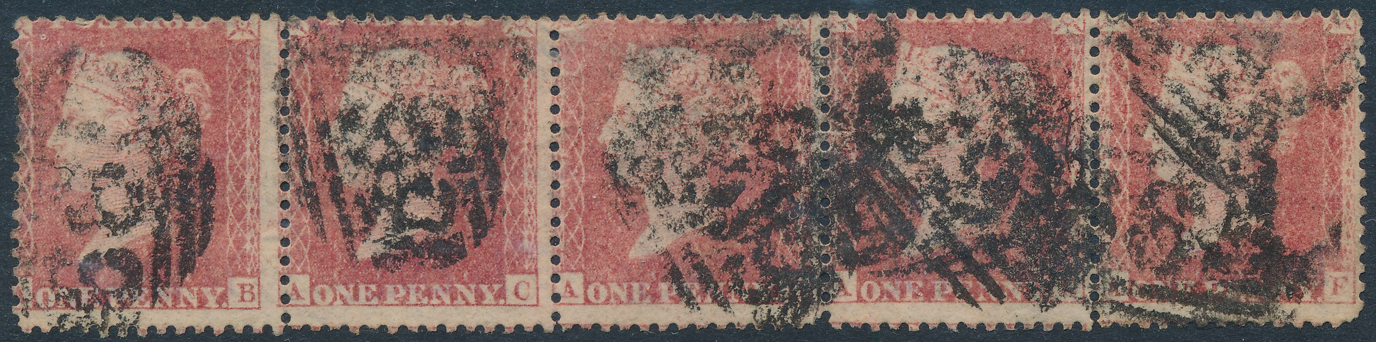 Plate 41 A-B, A-C, A-D, A-E, A-F