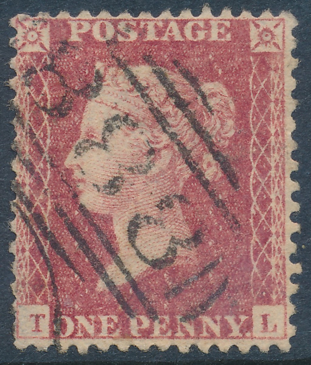 Plate 47 T-L