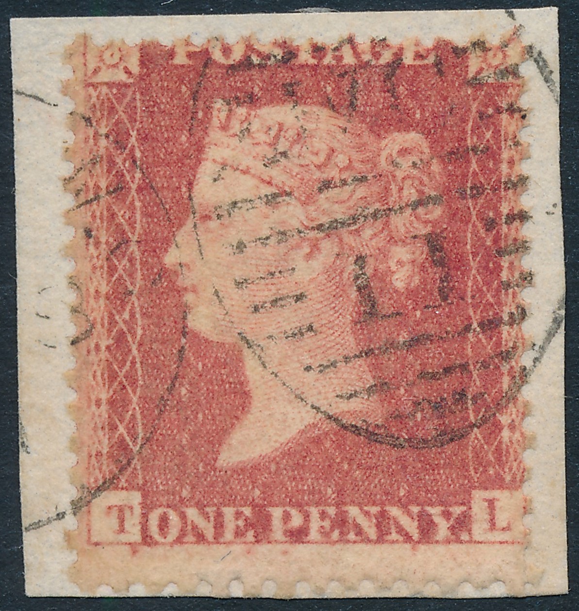 Plate 65 T-L