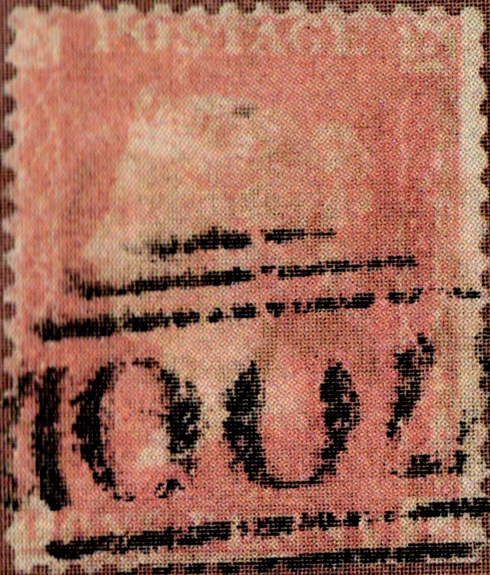 Plate 53 T-L