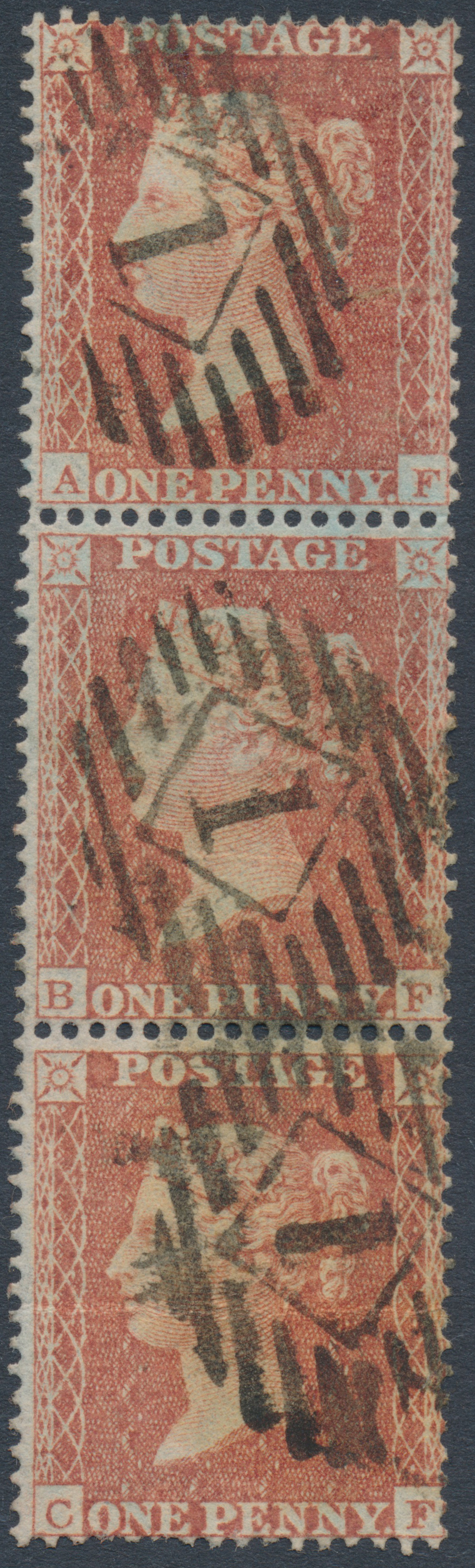 Plate 1 A-F