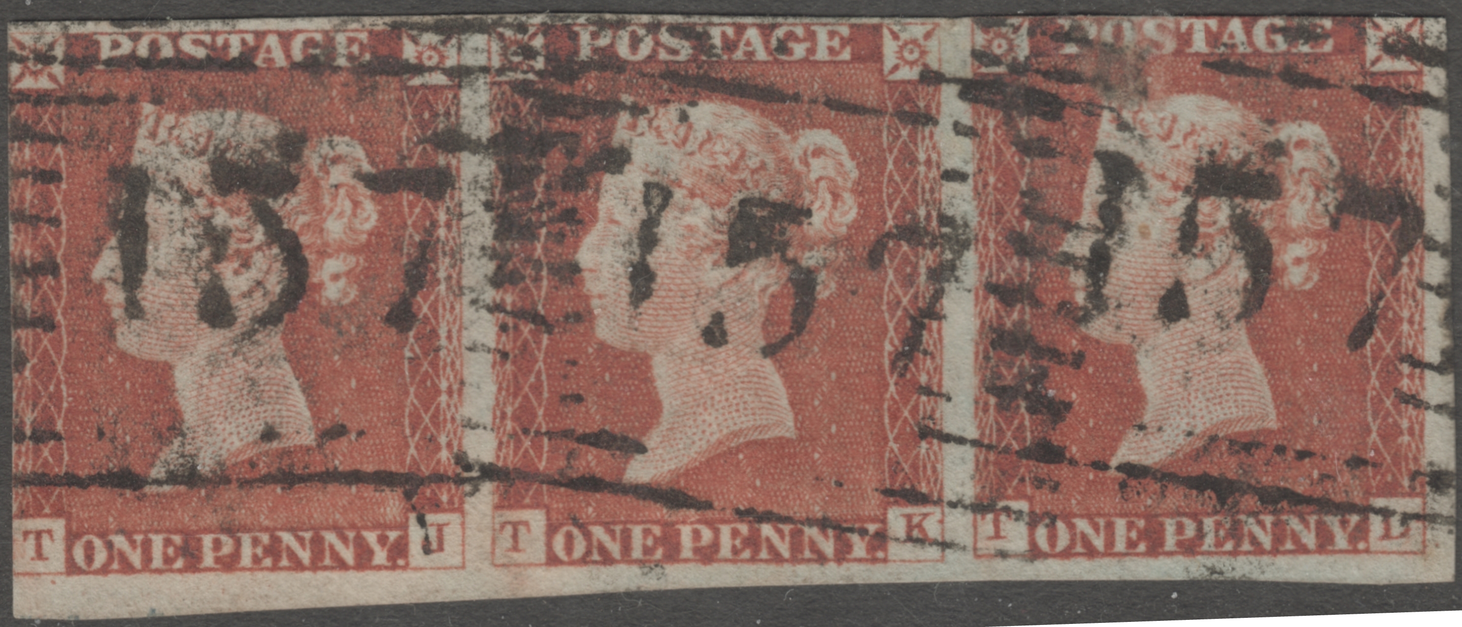 Plate 41 T-L