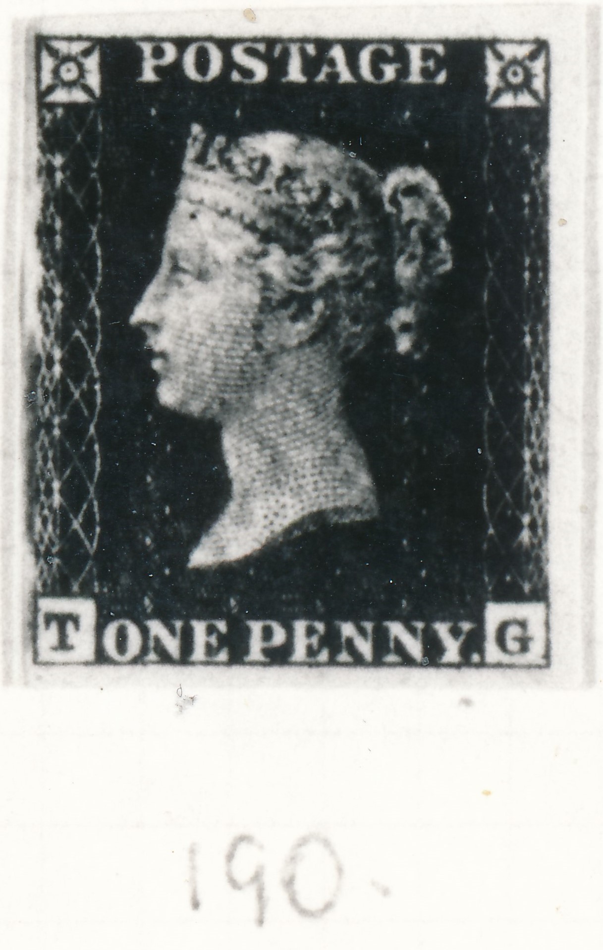 Plate 190 T-G